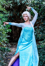 Load image into Gallery viewer, SNOW QUEEN WIG (BRAIDED)