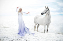 Load image into Gallery viewer, SNOW QUEEN WIG (SPIRIT)