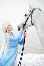 Load image into Gallery viewer, SNOW QUEEN WIG (BRAIDED)