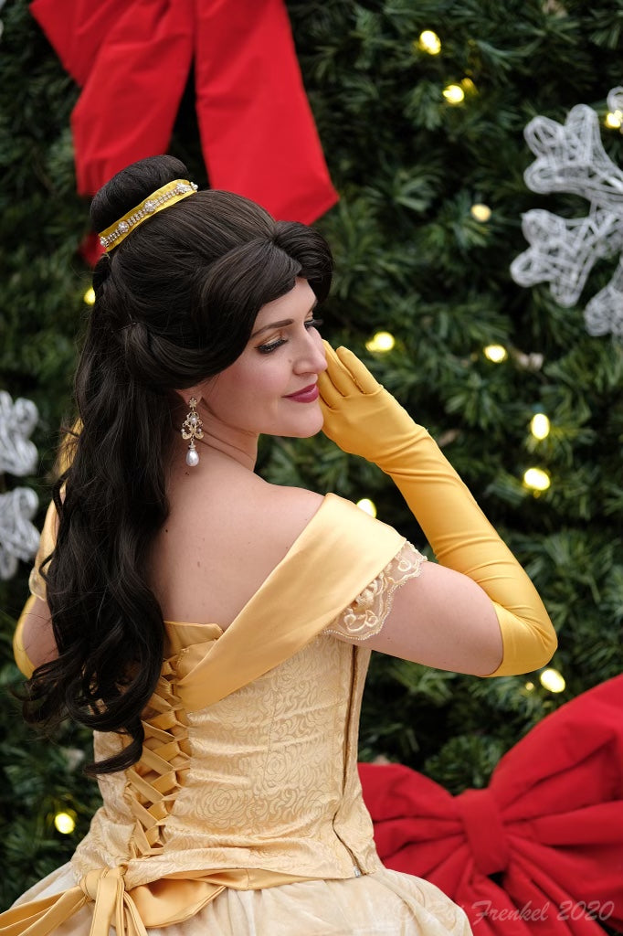 BEAUTY PRINCESS WIG (BALLGOWN)